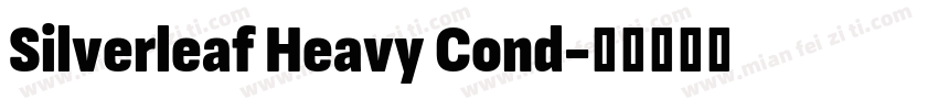 Silverleaf Heavy Cond字体转换